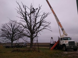 windmill in tree