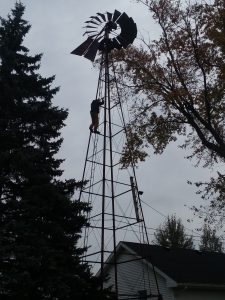 WD on tower